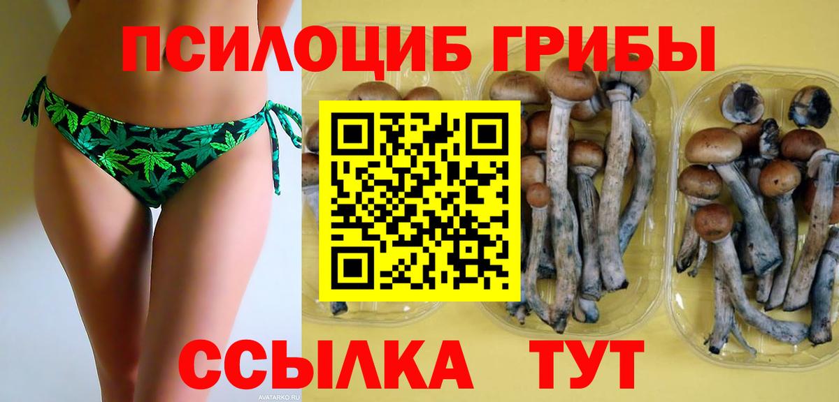 Псилоцибиновые грибы ЛСД Михайловка